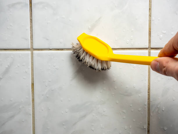 Best Post-Remediation Services in De Pere, WI