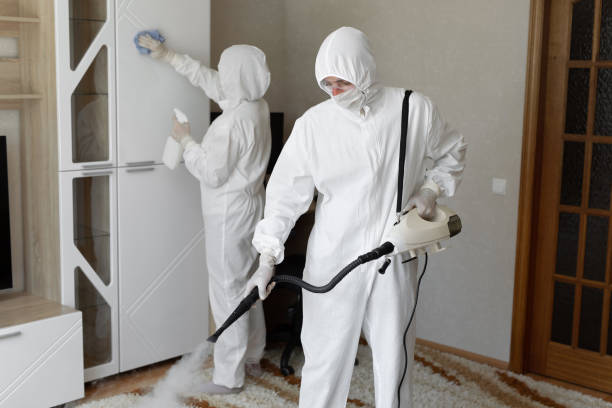 Best Residential Mold Remediation in De Pere, WI