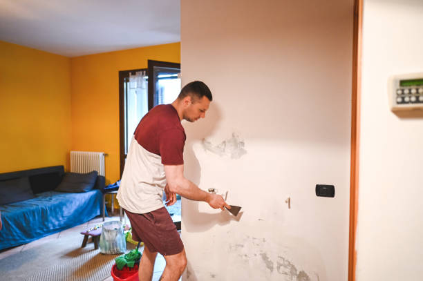 Best Mold Remediation for Specific Building Types in De Pere, WI